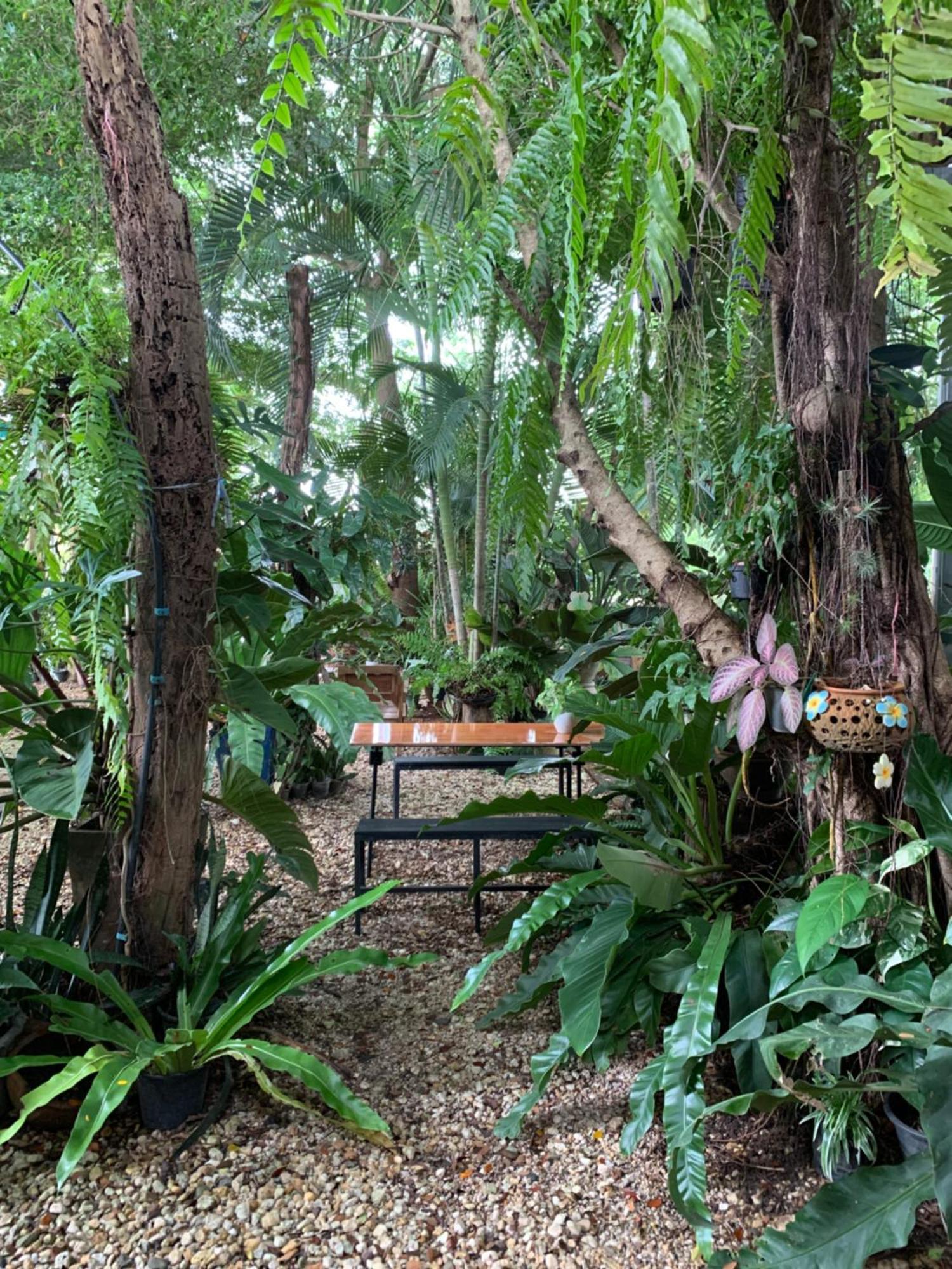 Baan Suan Duang Porn Resort Ban Phae  Exteriör bild