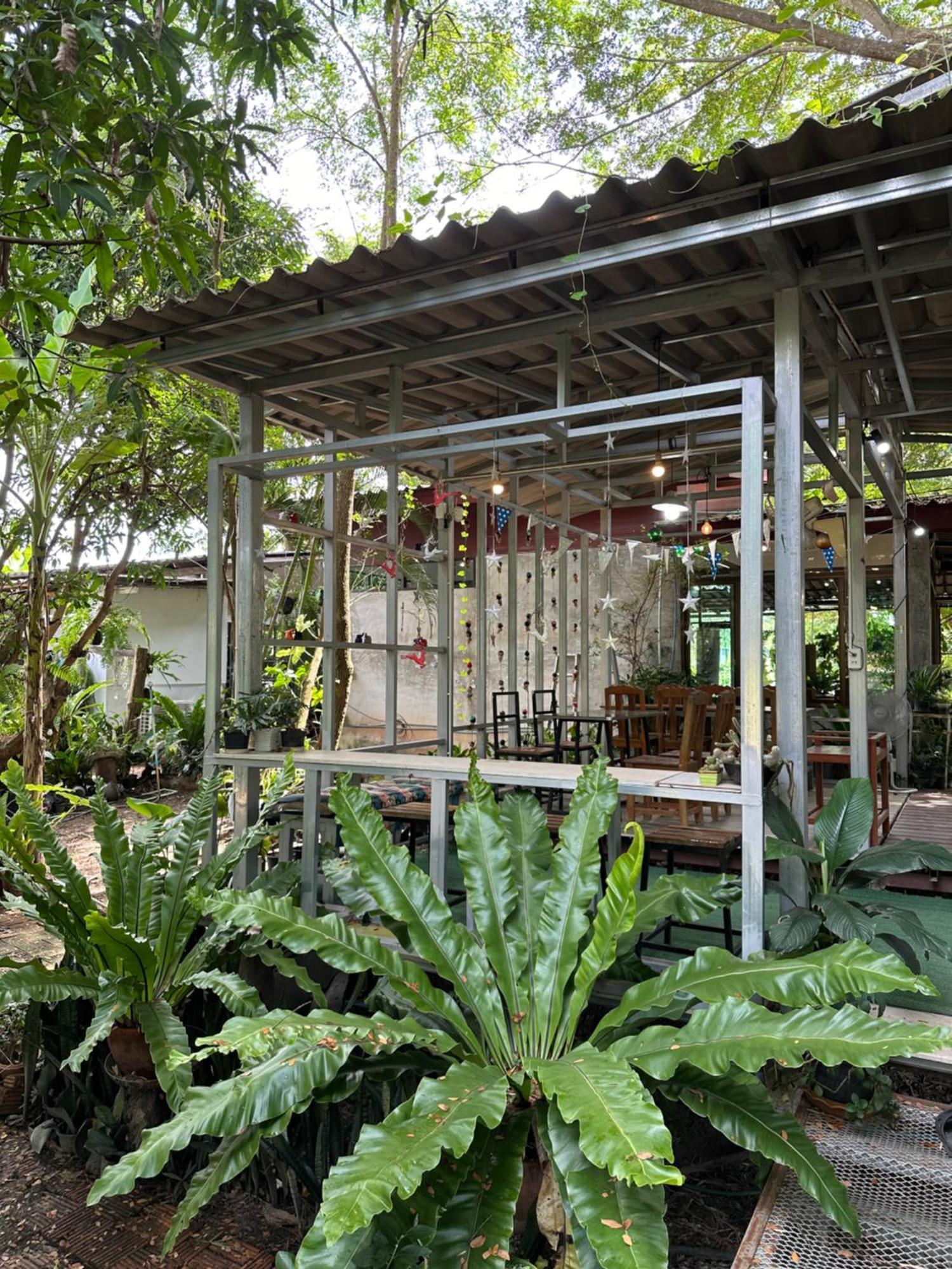 Baan Suan Duang Porn Resort Ban Phae  Exteriör bild