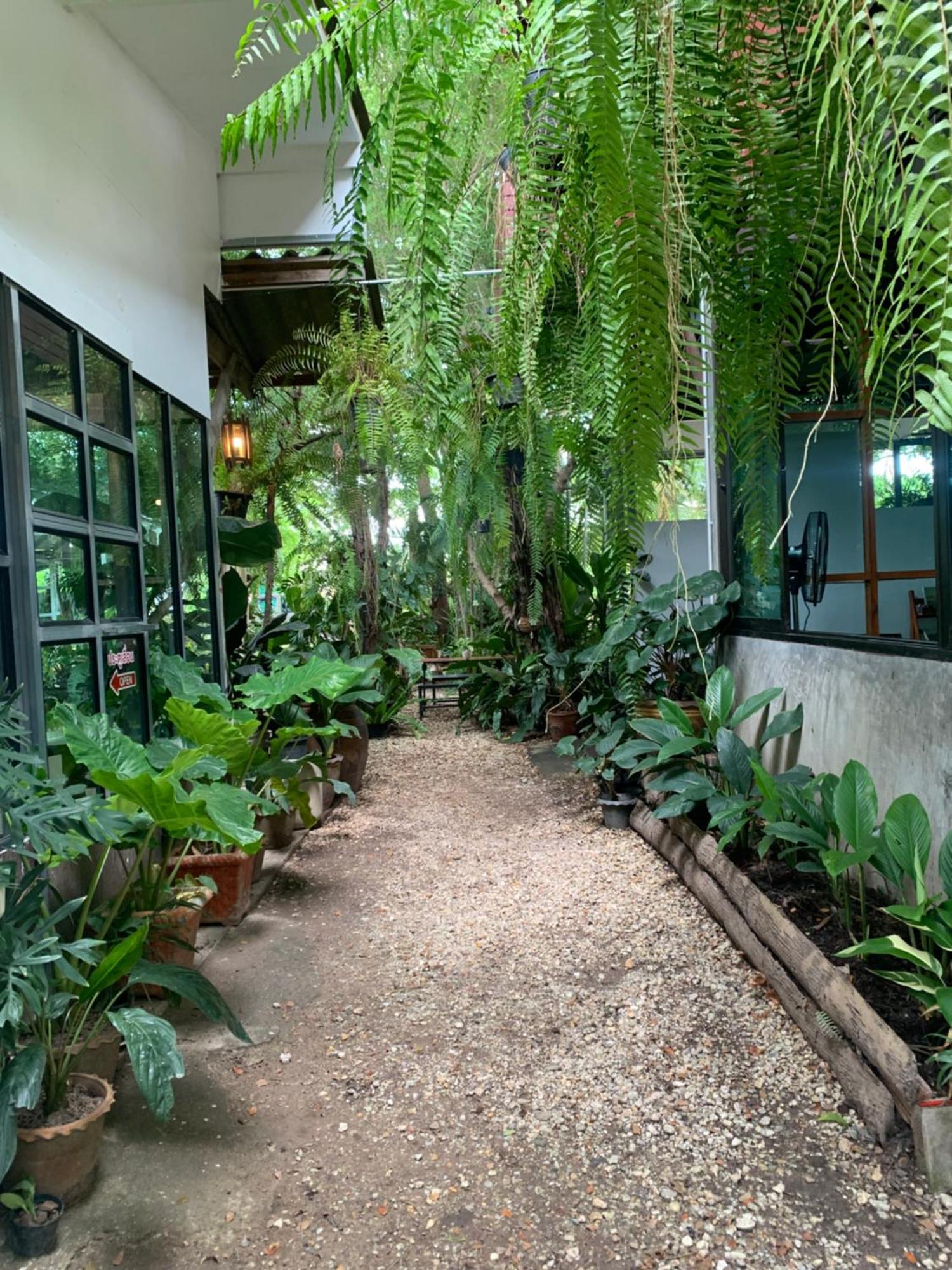 Baan Suan Duang Porn Resort Ban Phae  Exteriör bild