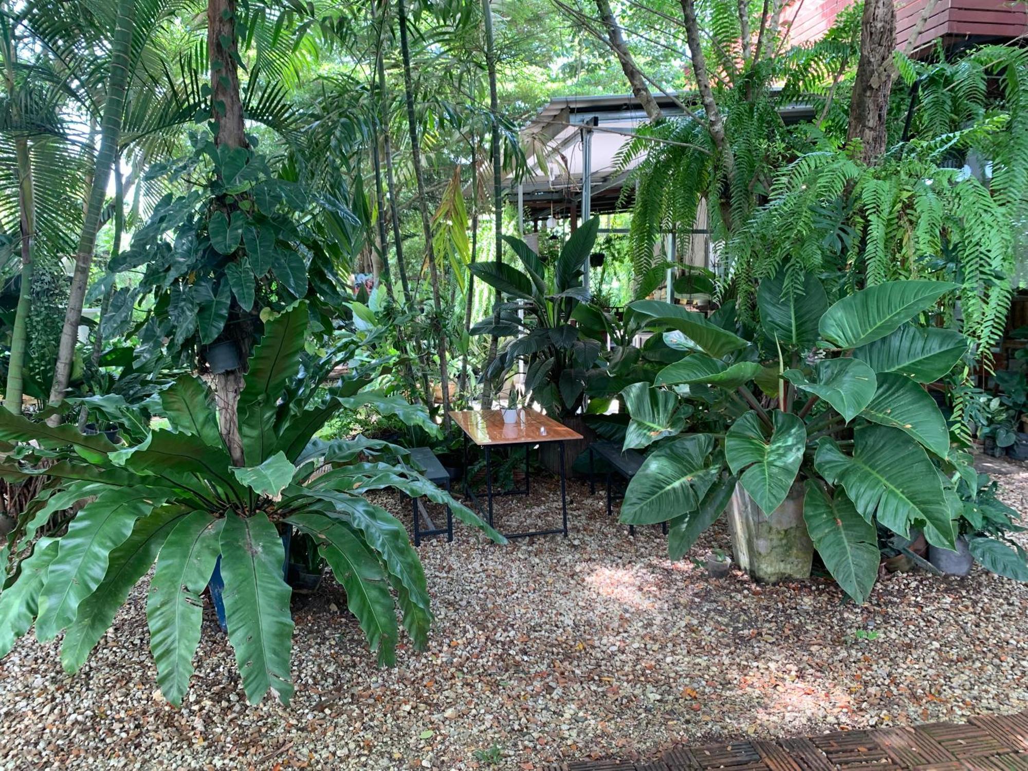 Baan Suan Duang Porn Resort Ban Phae  Exteriör bild