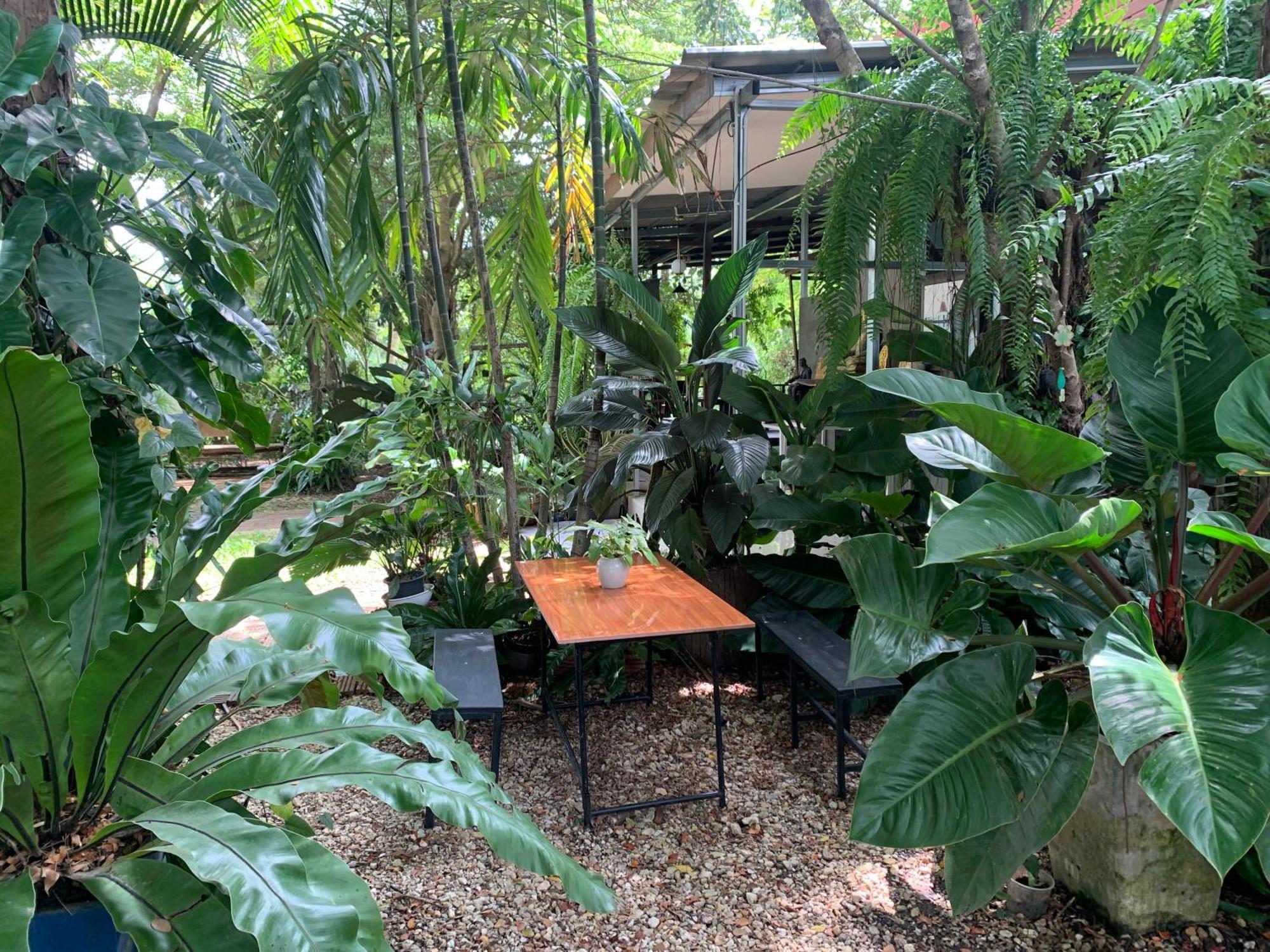 Baan Suan Duang Porn Resort Ban Phae  Exteriör bild