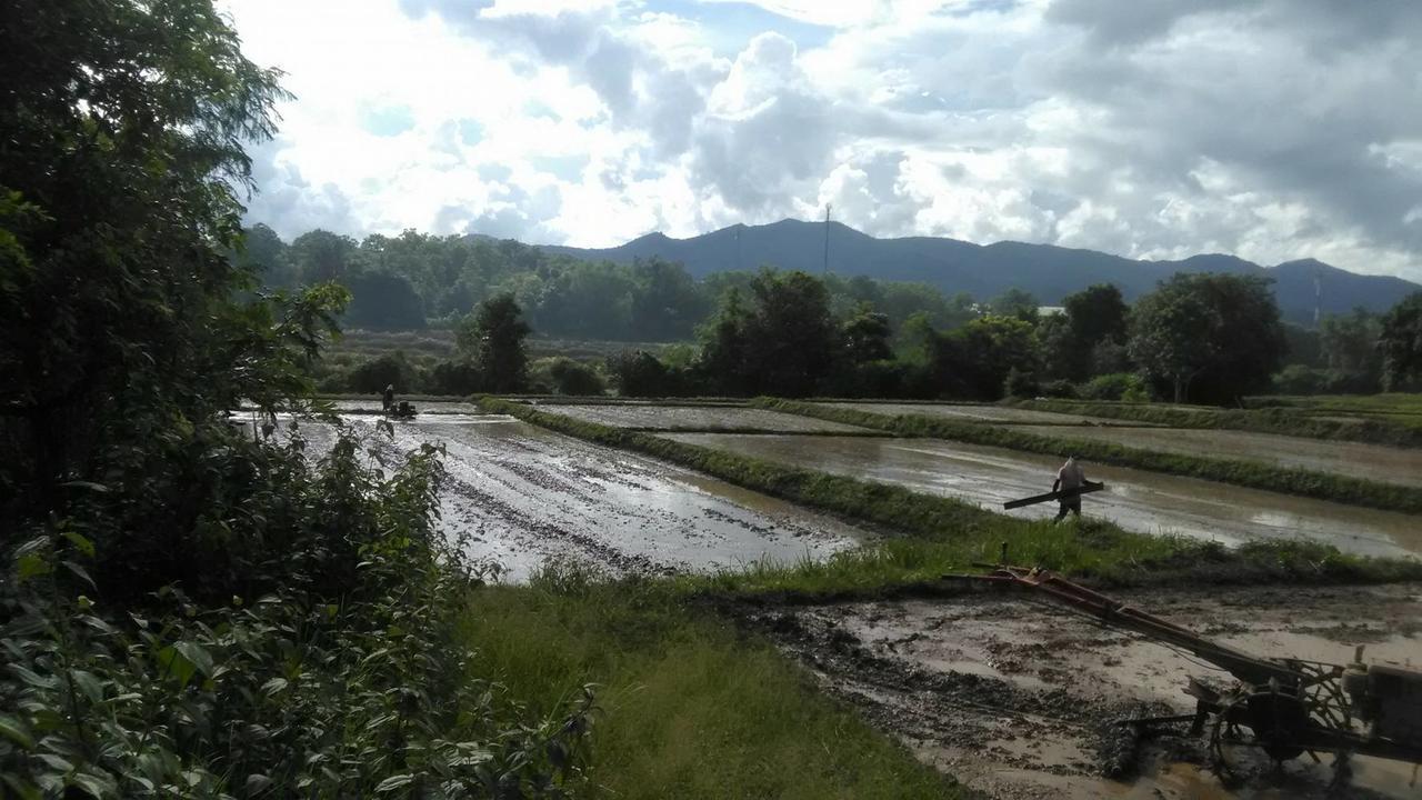 Baan Suan Duang Porn Resort Ban Phae  Exteriör bild